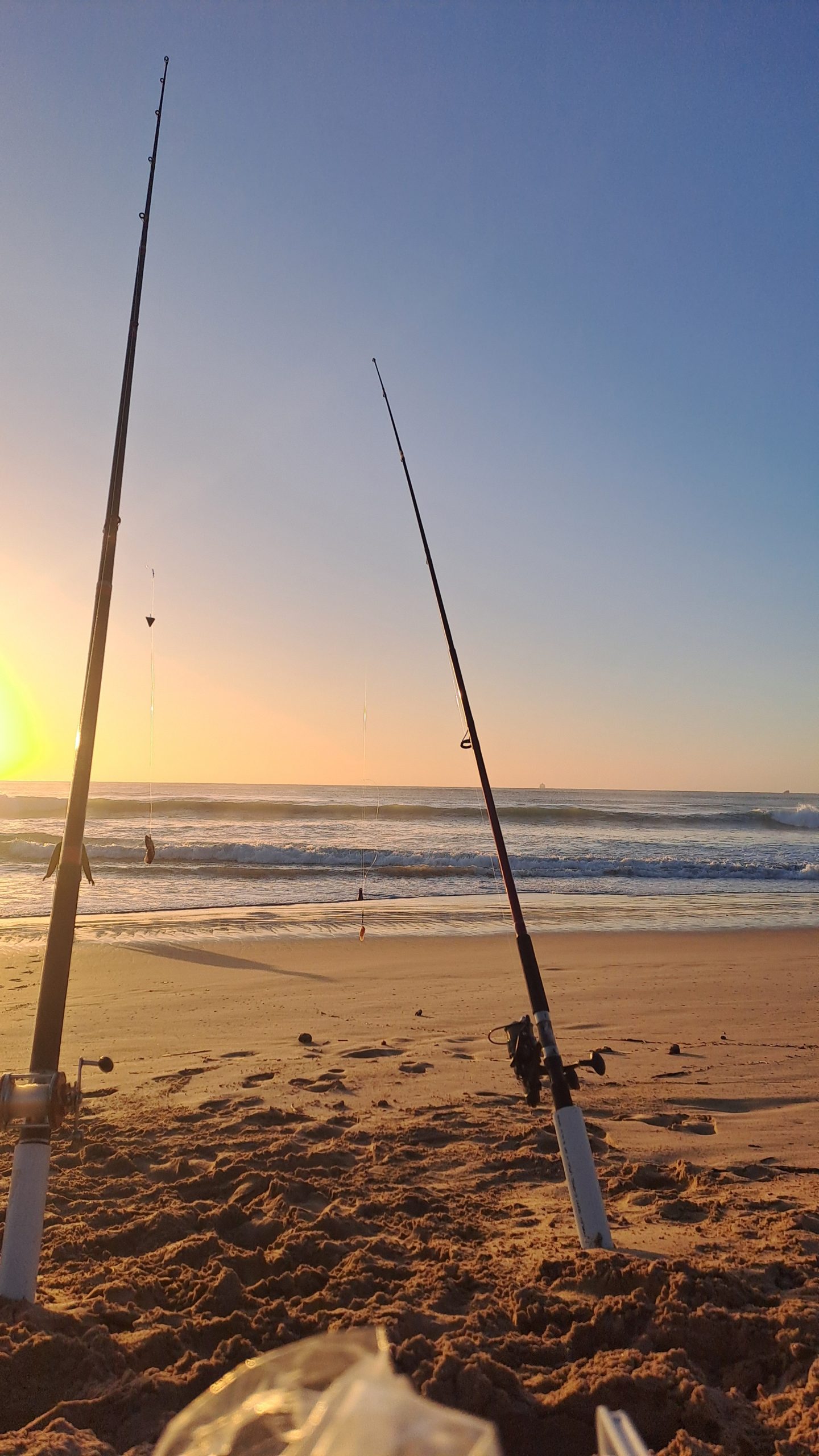 Haliha Adventures private boat tour on the Mossel Bay - Garden Route coastline